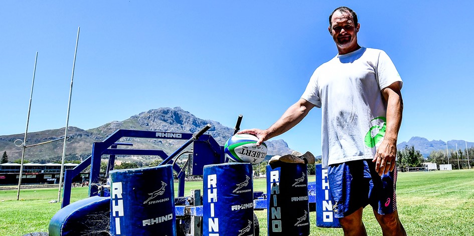 Springbok coaches renew contracts for four years