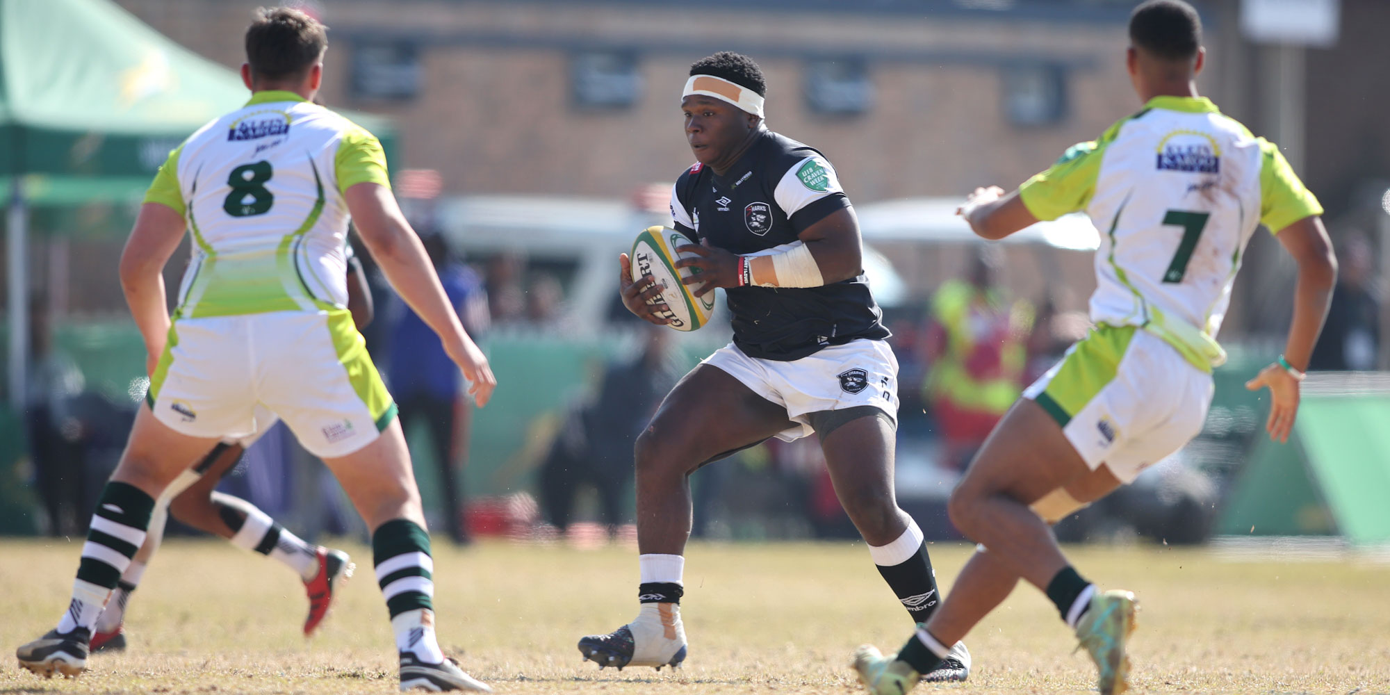 Sharks on the attack against SWD.