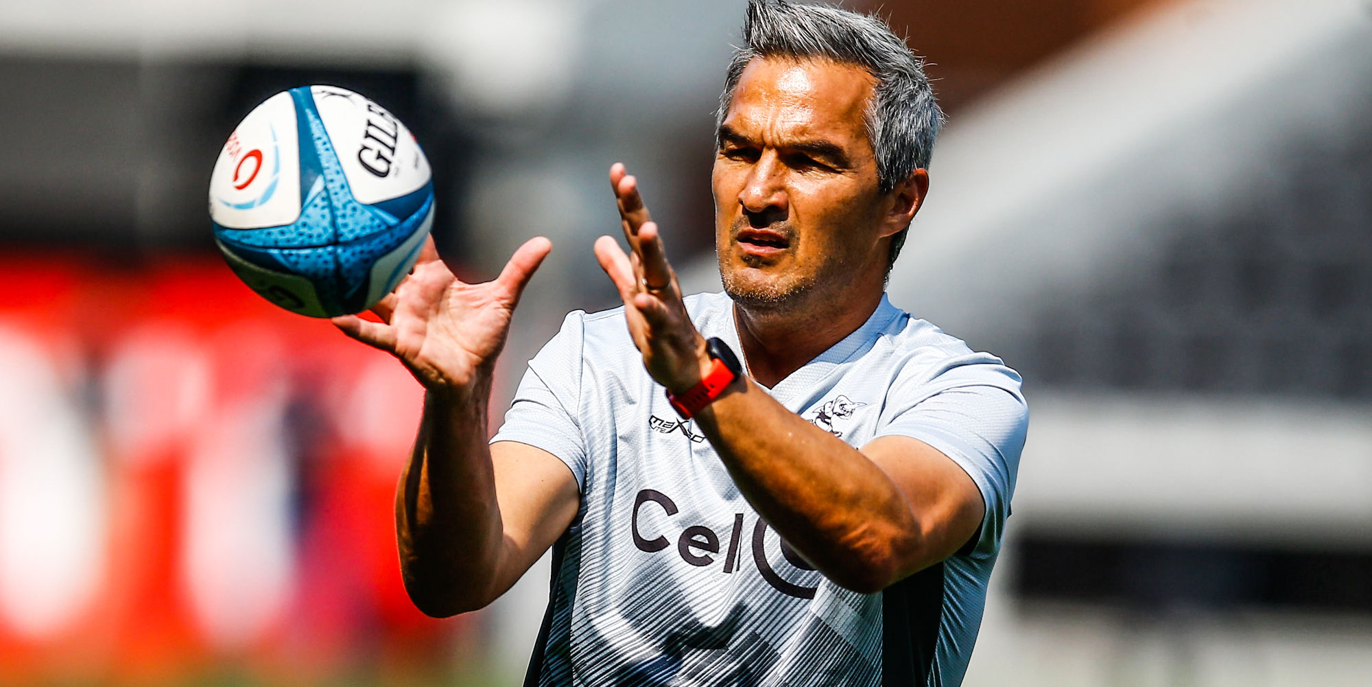 Former Blitzbok coach Neil Powell has taken over at the Cell C Sharks.
